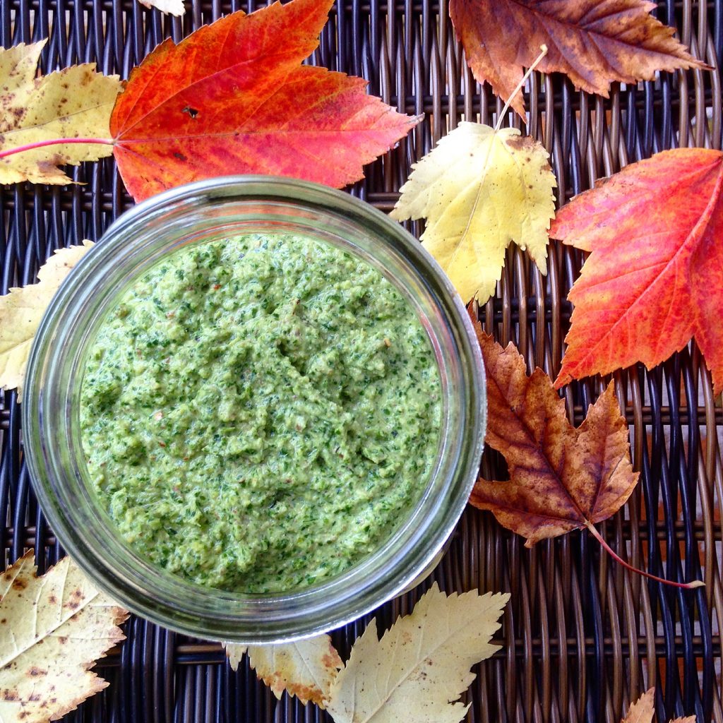 Chimichurri pesto